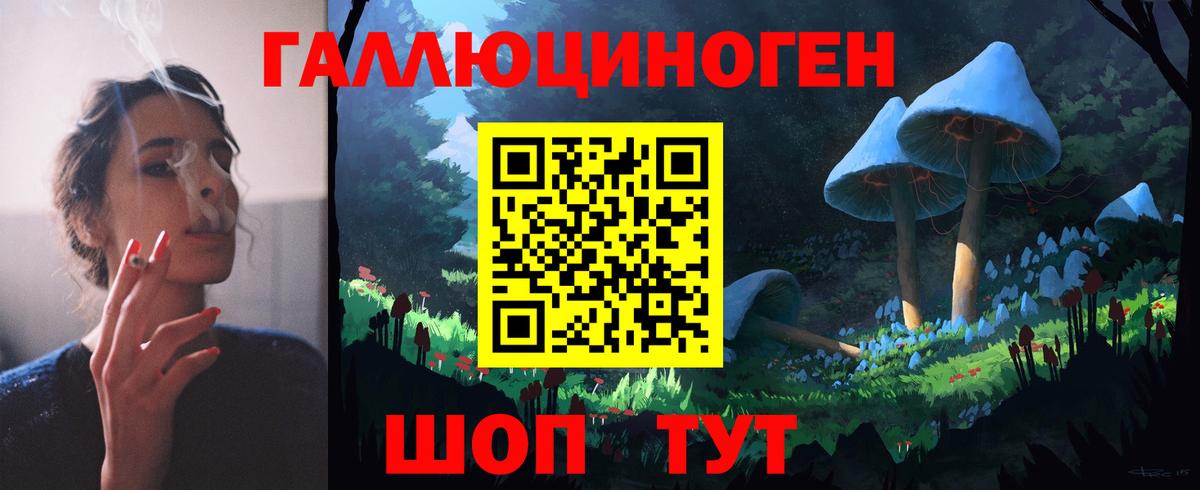 Рославль  Псилоцибиновые грибы Cubensis  Вход с VPN 